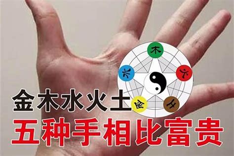 五型人金木水火土